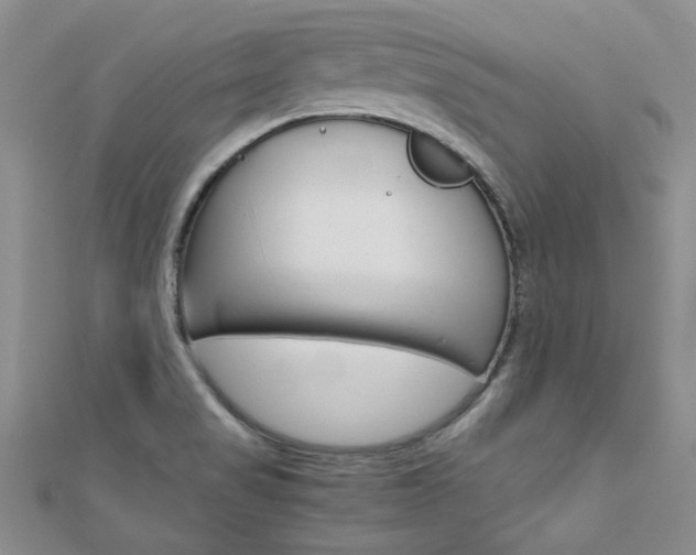 X0000112171517200908070949