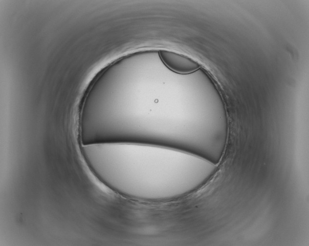 X0000112171519200908070949
