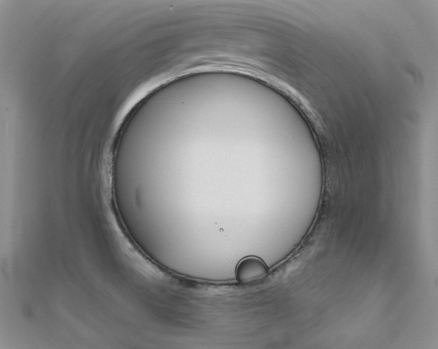 X0000112171522200908070949