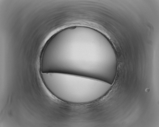 X0000112171523200908070949