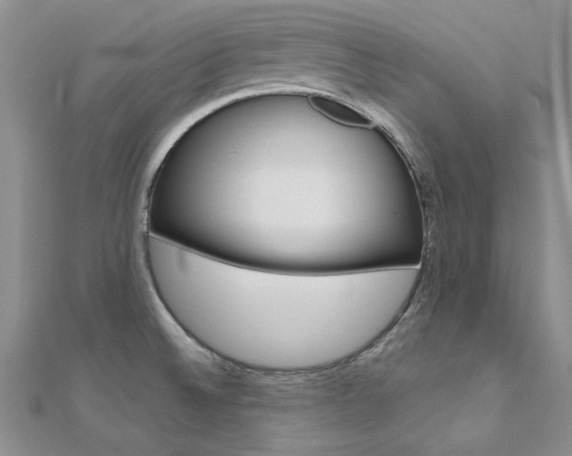 X0000112171524200908070949