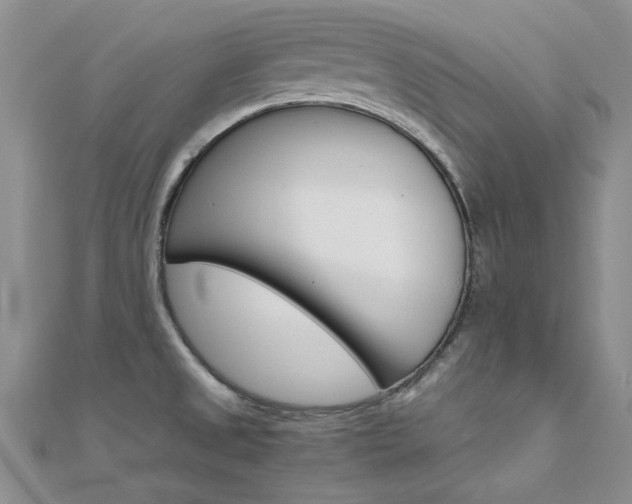 X0000112171525200908070949