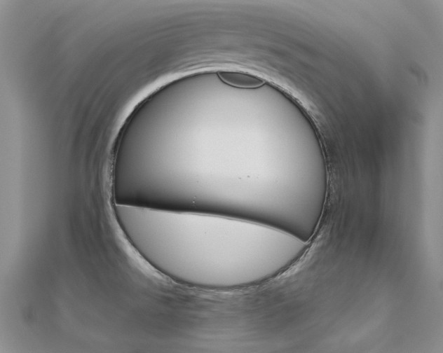 X0000112171526200908070949