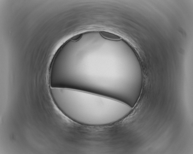 X0000112171527200908070949