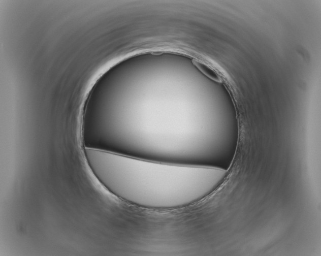 X0000112171528200908070949