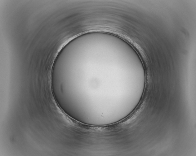 X0000112171529200908070949