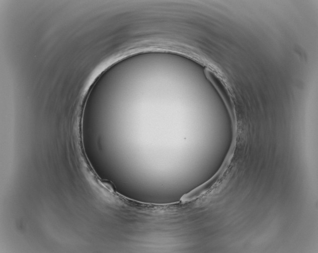 X0000112171530200908070949