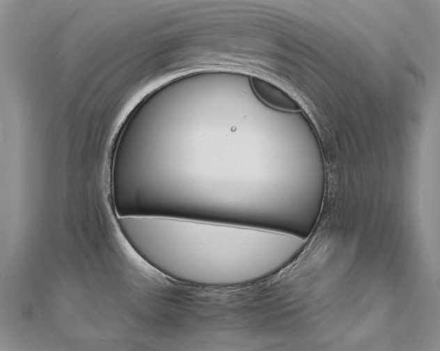 X0000112171531200908070949