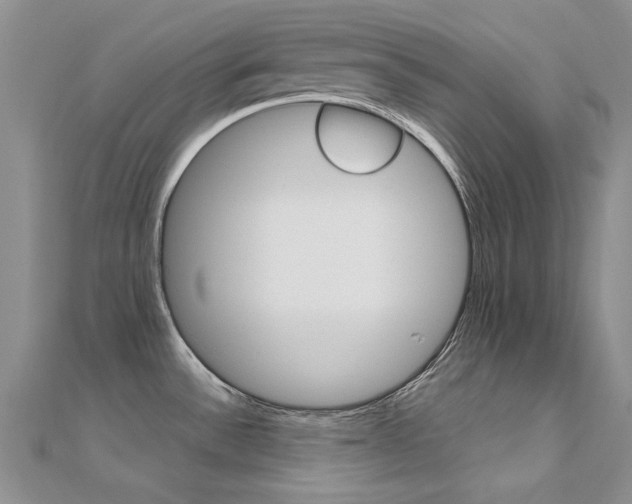 X0000112171532200908070949