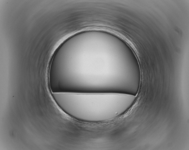 X0000112171533200908070949
