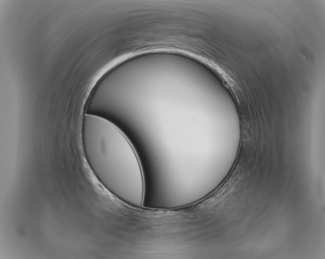 X0000112171534200908070949