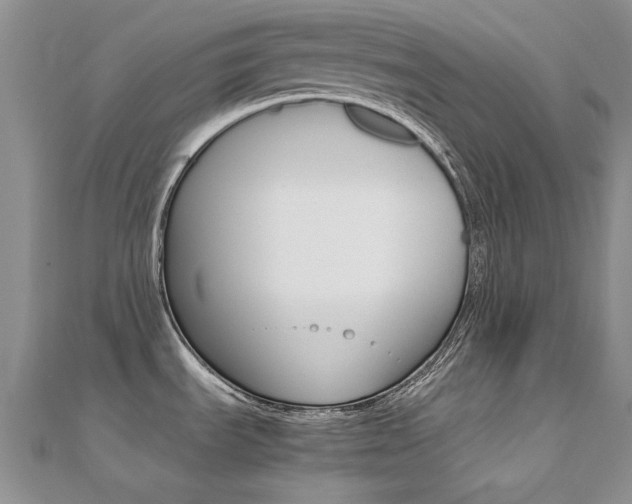 X0000112171535200908070949