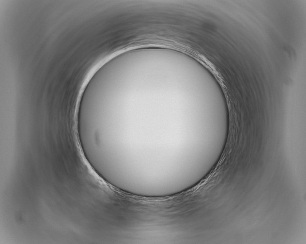 X0000112171536200908070949