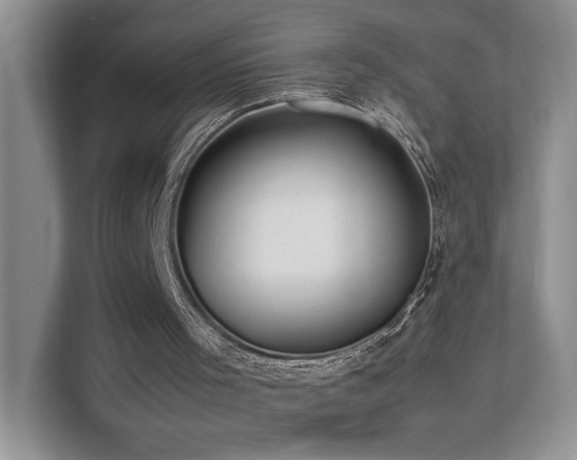 X0000112170001200908071208