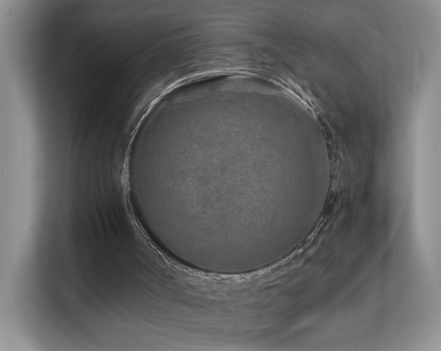 X0000112170002200908071208