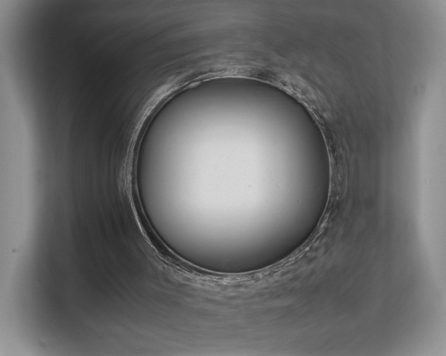 X0000112170003200908071208