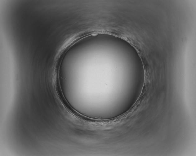 X0000112170005200908071208