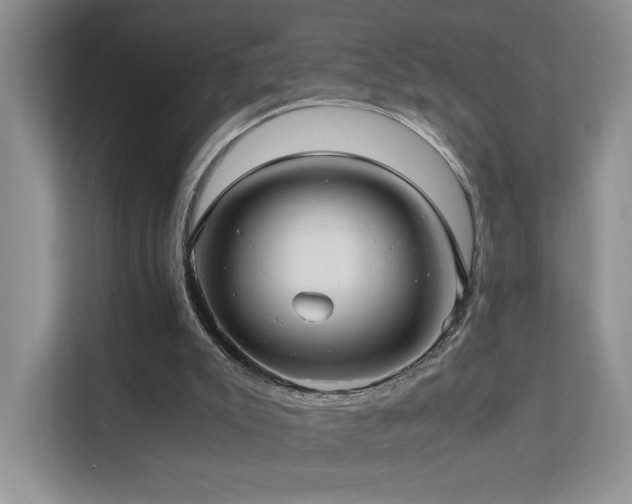 X0000112170007200908071208