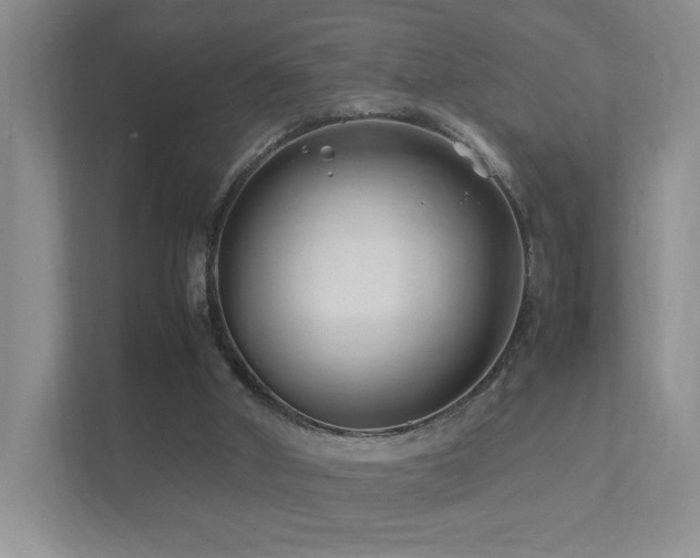 X0000112170010200908071208