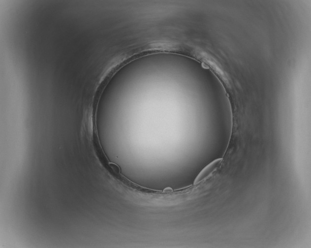 X0000112170011200908071208