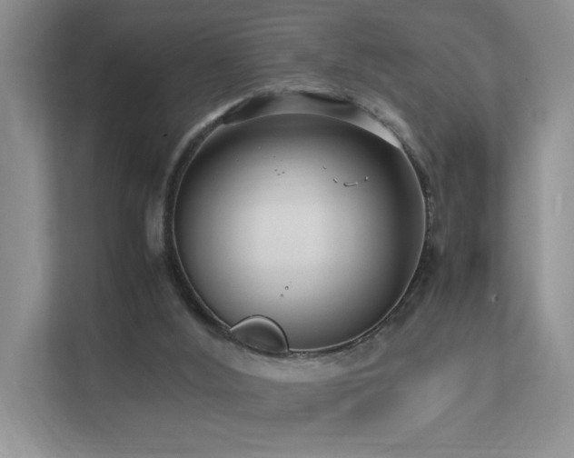 X0000112170012200908071208