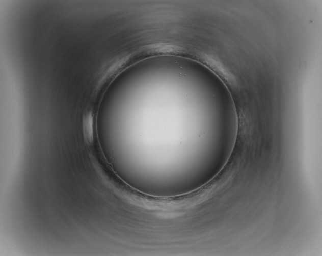 X0000112170014200908071208