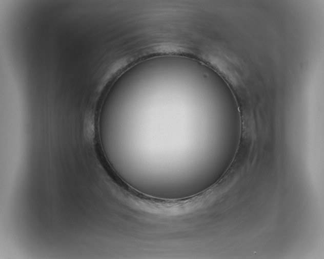 X0000112170015200908071208