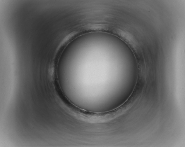 X0000112170016200908071208