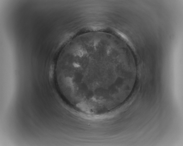 X0000112170018200908071208