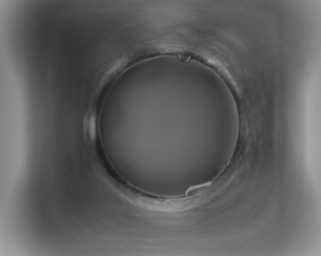 X0000112170019200908071208