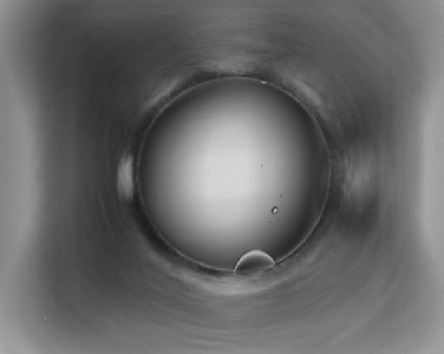 X0000112170020200908071208