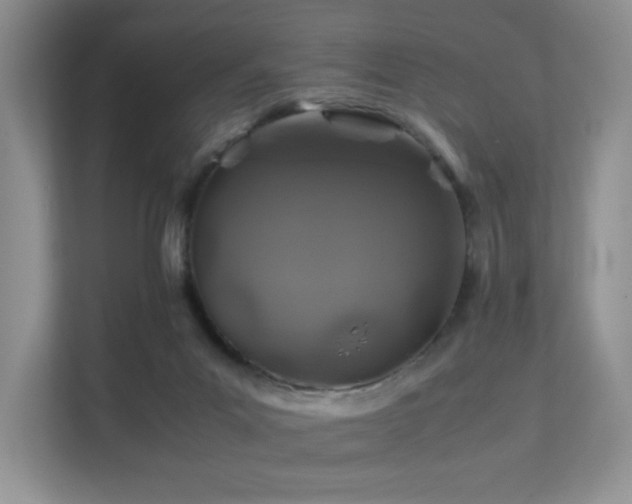 X0000112170023200908071208