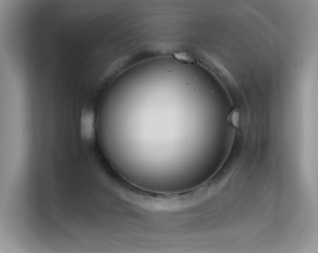 X0000112170024200908071208