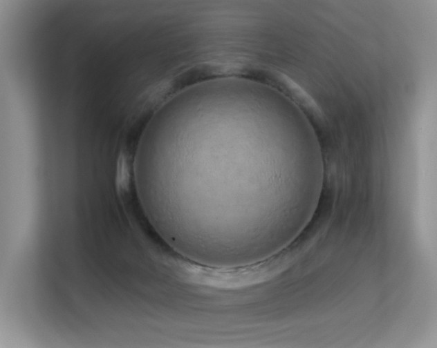 X0000112170026200908071208