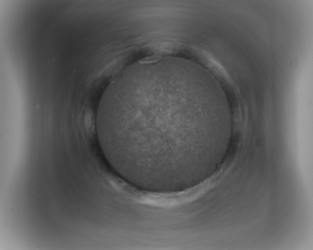 X0000112170029200908071207