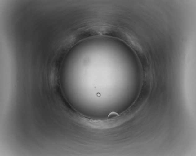 X0000112170030200908071207