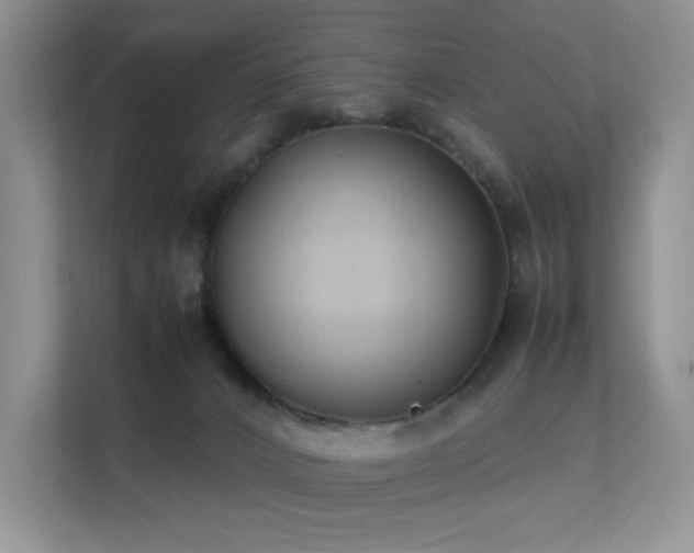 X0000112170032200908071207