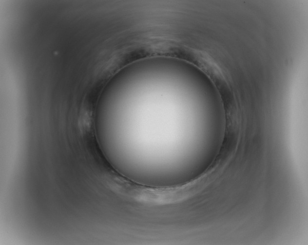 X0000112170033200908071207