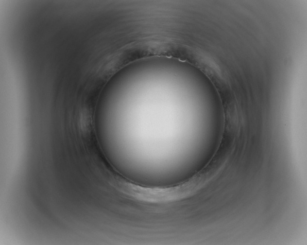 X0000112170034200908071207