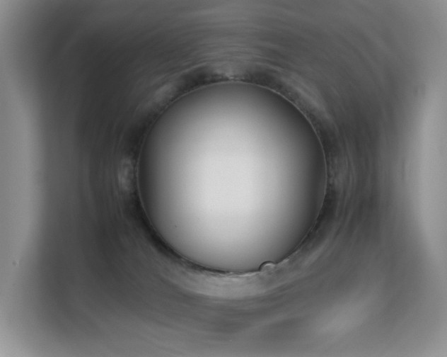 X0000112170036200908071207