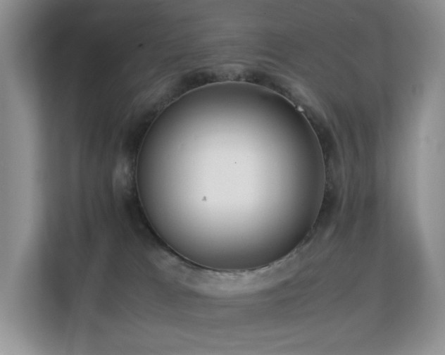 X0000112170037200908071207