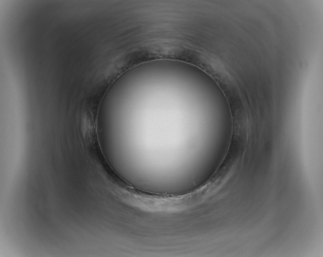 X0000112170040200908071207