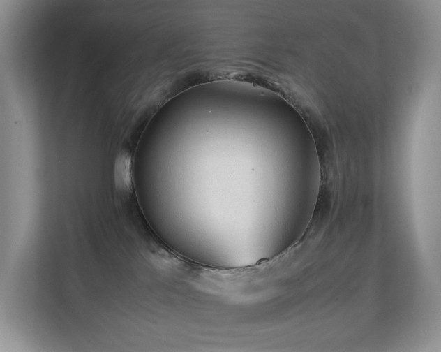 X0000112170041200908071207