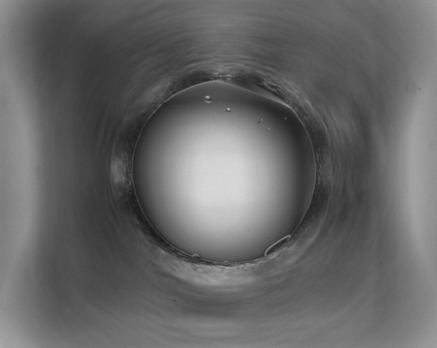 X0000112170044200908071207