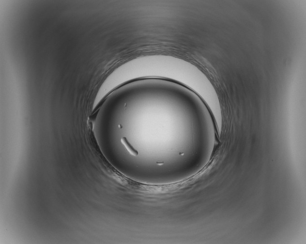 X0000112170045200908071207