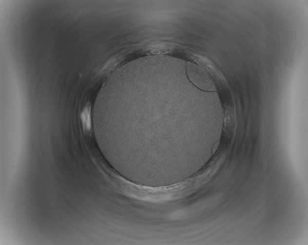 X0000112170046200908071207