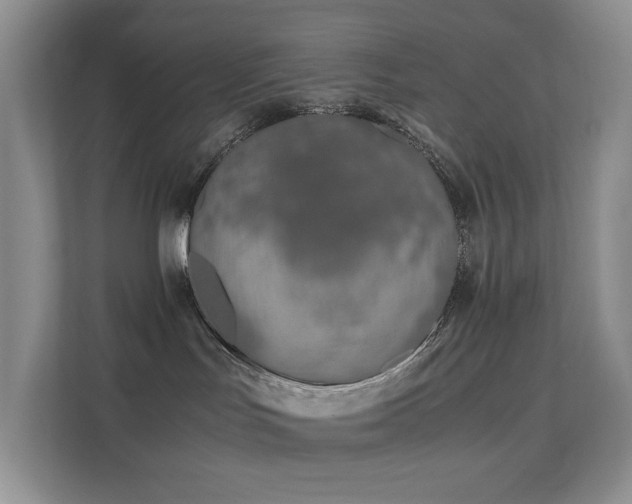 X0000112170047200908071207