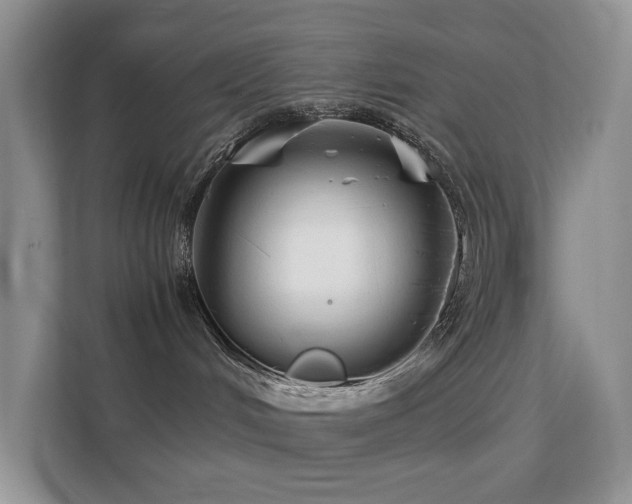 X0000112170048200908071207