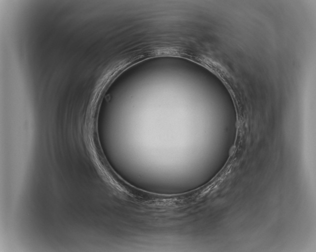 X0000112170049200908071207