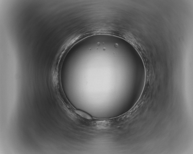 X0000112170050200908071207